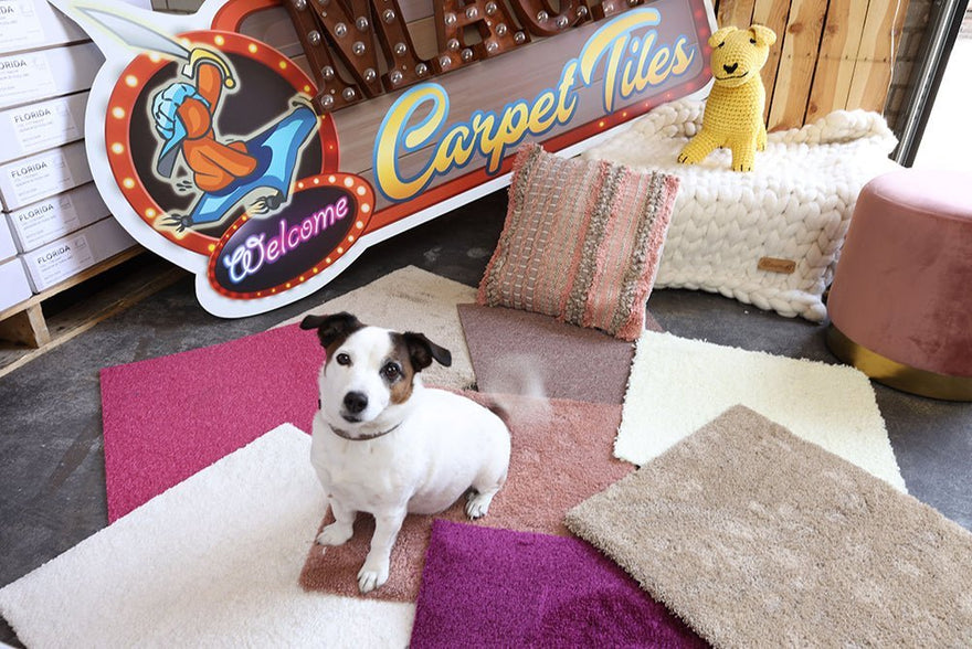 Tapijttegels en huisdieren