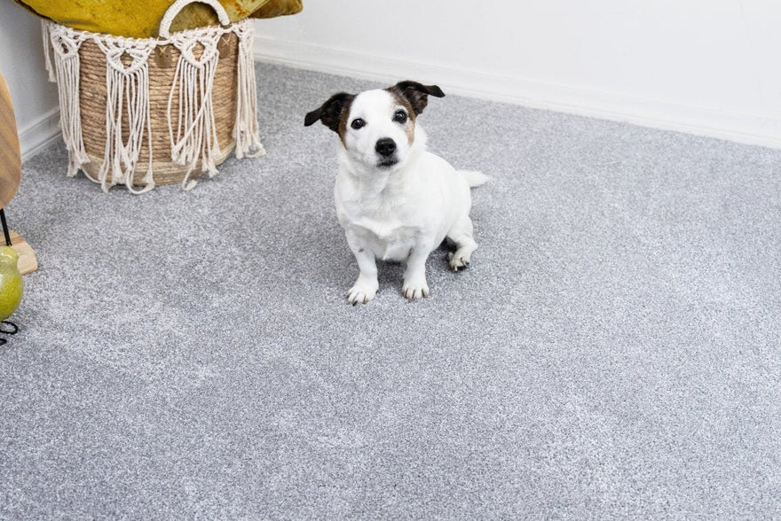 Zijn tapijttegels geschikt voor een huis met huisdieren?