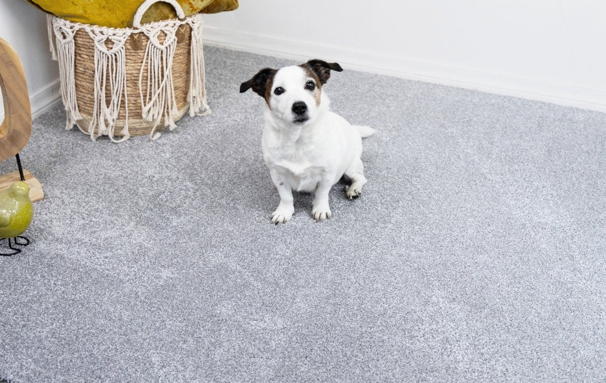 Interactief 3D-illusietapijt met gateneffect - Optische truc Vloermat for honden en katten, antislip visueel decor for woonkamer, hal(White,30x40cm/12x16in