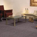 Baron lines - Van Heugten Tapijttegels B.V.