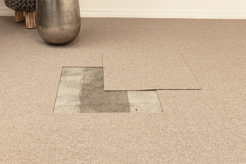 Floordirekt Cosenza Tapijtloper/modern ruitdesign, hoogwaardige afwerking, antislip gelrug, verkrijgbaar in 4 kleuren en vele maten, 80 x 350 cm, zwart Floordirekt Cosenza Tapijtloper/modern ruitdesign, hoogwaardige afwerking, antislip gelrug, verkrijgbaar in 4 kleuren en vele maten, 80 x 350 cm, zwart