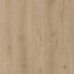 Oyster oak
